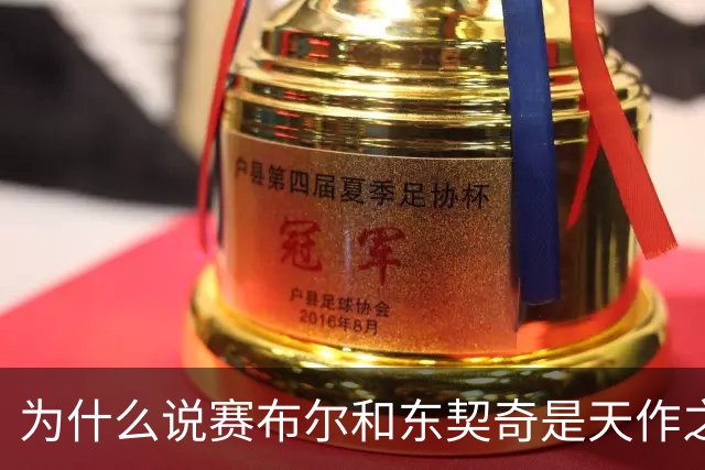为什么说赛布尔和东契奇是天作之合？（签约评级：A）