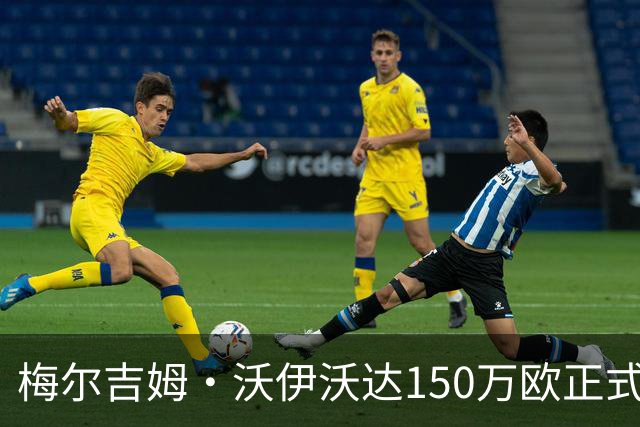 梅尔吉姆·沃伊沃达150万欧正式加盟乌迪内斯