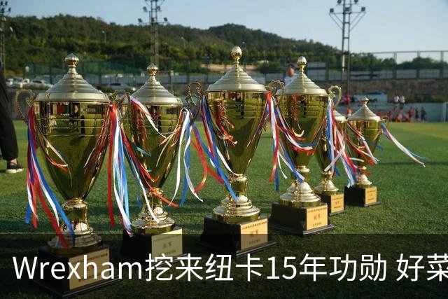 Wrexham挖来纽卡15年功勋 好菜坞老板布局英超野心藏不住了